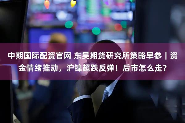 中期国际配资官网 东吴期货研究所策略早参｜资金情绪推动，沪镍超跌反弹！后市怎么走？