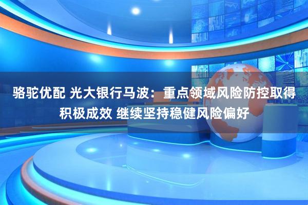 骆驼优配 光大银行马波：重点领域风险防控取得积极成效 继续坚持稳健风险偏好