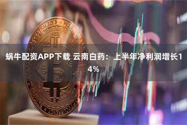 蜗牛配资APP下载 云南白药：上半年净利润增长14%